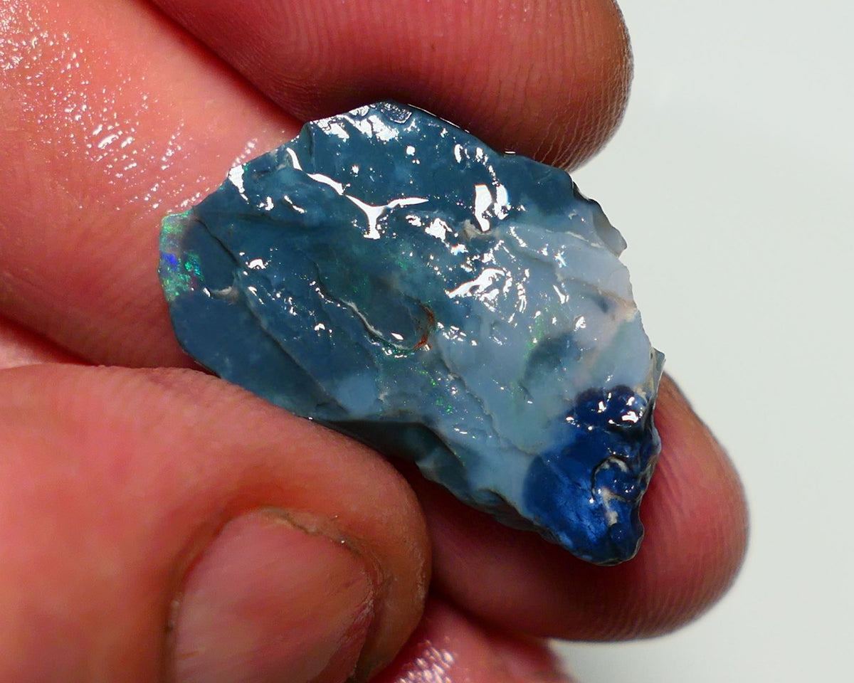 Lightning Ridge Black Rough Opal 10cts Gamble showing some Bright Green & blue fires 24x15x4mm 1330