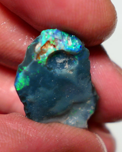 Lightning Ridge Black Rough Opal 10cts Gamble showing some Bright Green & blue fires 24x15x4mm 1330