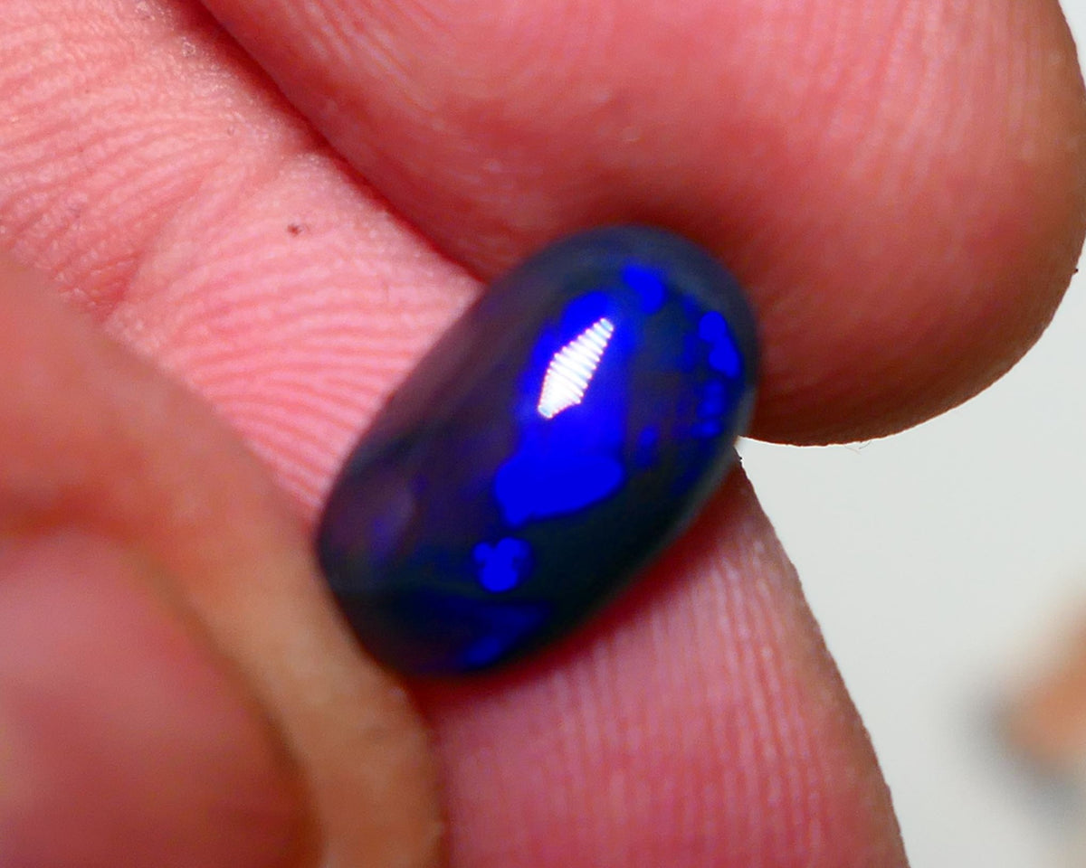 OPALFEVERMATE.COM December 2024 Customer Raffle Prize #1 - Free Entry with Every Order! Lightning Ridge Black opal  2.00cts GEM Grade N5 Body Tone B3 Brightness  Rolling Flash Royal Blues in various patterns 12.2x7.3x3.8mm 1327