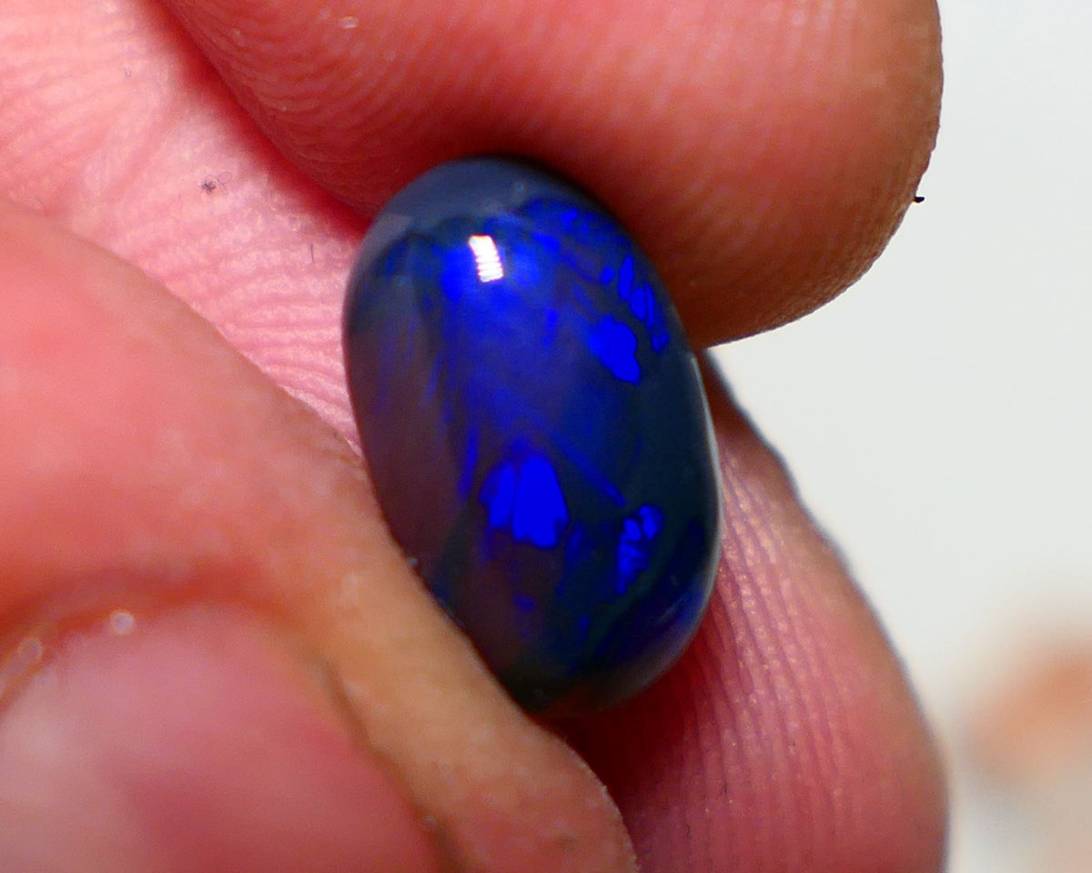 OPALFEVERMATE.COM December 2024 Customer Raffle Prize #1 - Free Entry with Every Order! Lightning Ridge Black opal  2.00cts GEM Grade N5 Body Tone B3 Brightness  Rolling Flash Royal Blues in various patterns 12.2x7.3x3.8mm 1327