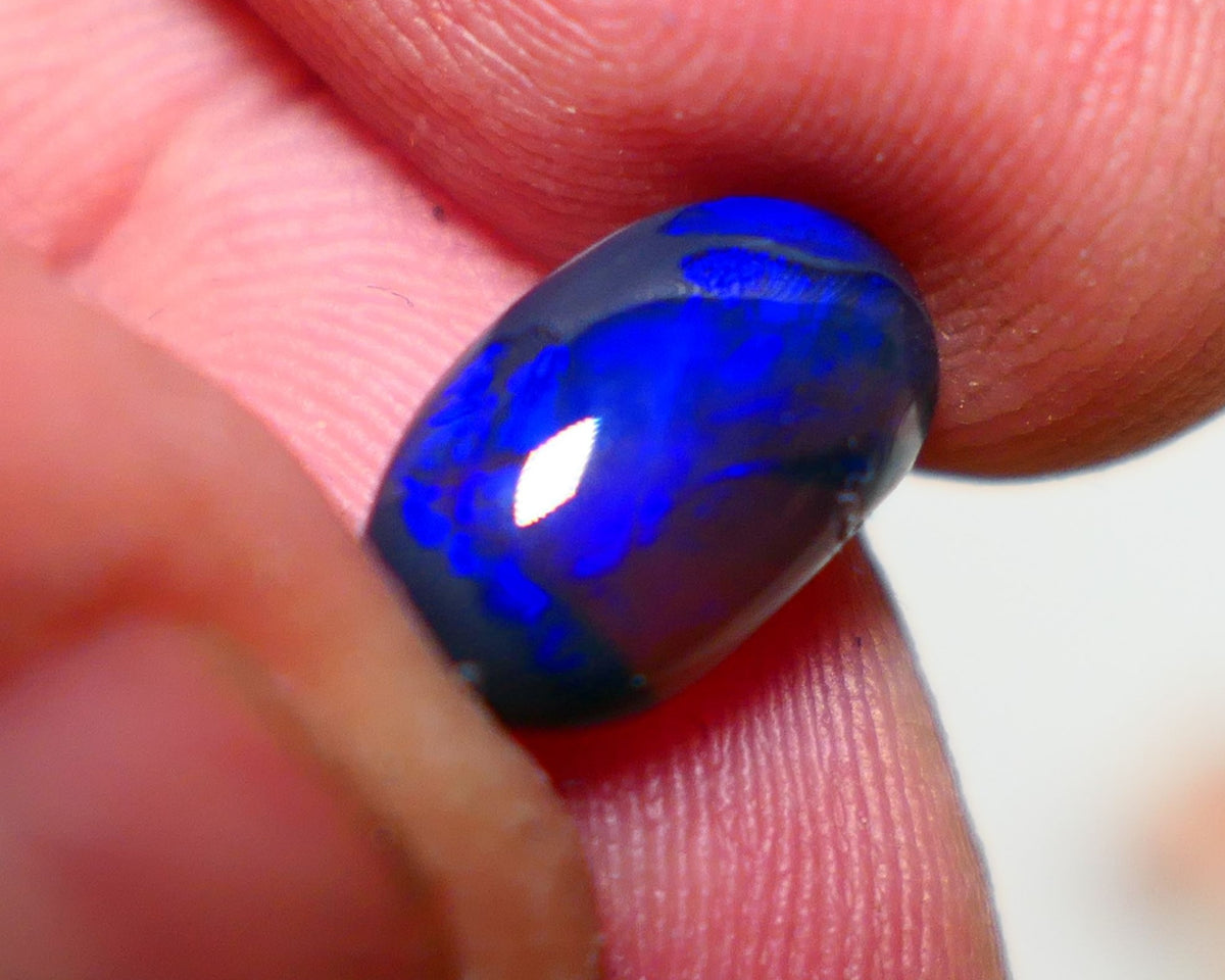 OPALFEVERMATE.COM December 2024 Customer Raffle Prize #1 - Free Entry with Every Order! Lightning Ridge Black opal  2.00cts GEM Grade N5 Body Tone B3 Brightness  Rolling Flash Royal Blues in various patterns 12.2x7.3x3.8mm 1327