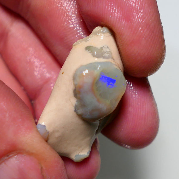 Lightning Ridge Rough Opal 38cts Crystal knobby opal formation showing some colours 30x20x15mm 1408