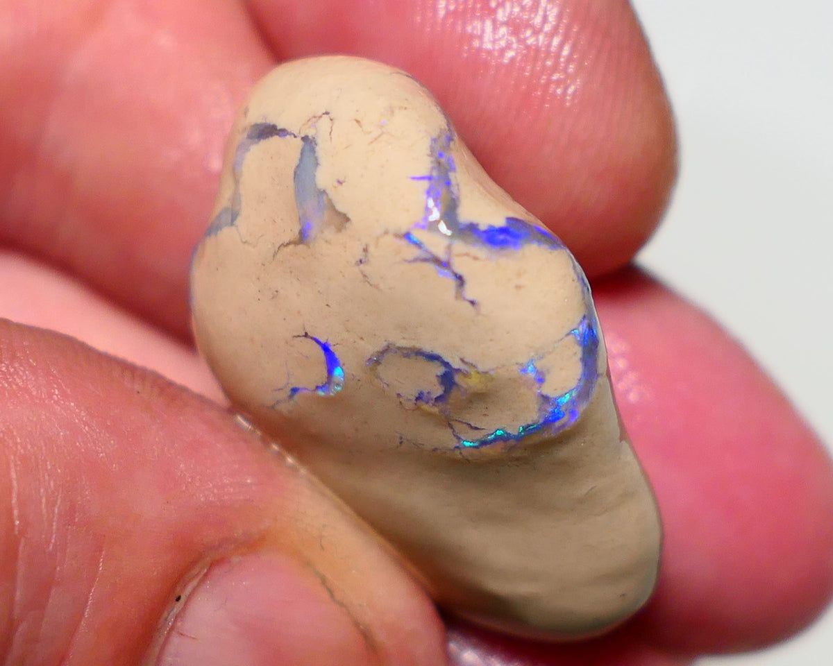 Lightning Ridge Rough Opal 58cts Formation showing Exotic Very Bright Blues 32x24x14mm 1203