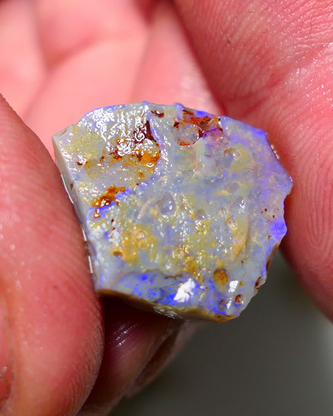 Lightning Ridge Rough Opal 10.75cts Dark Crystal Seam showing lots Blue colours 17x20x4.2mm 1308