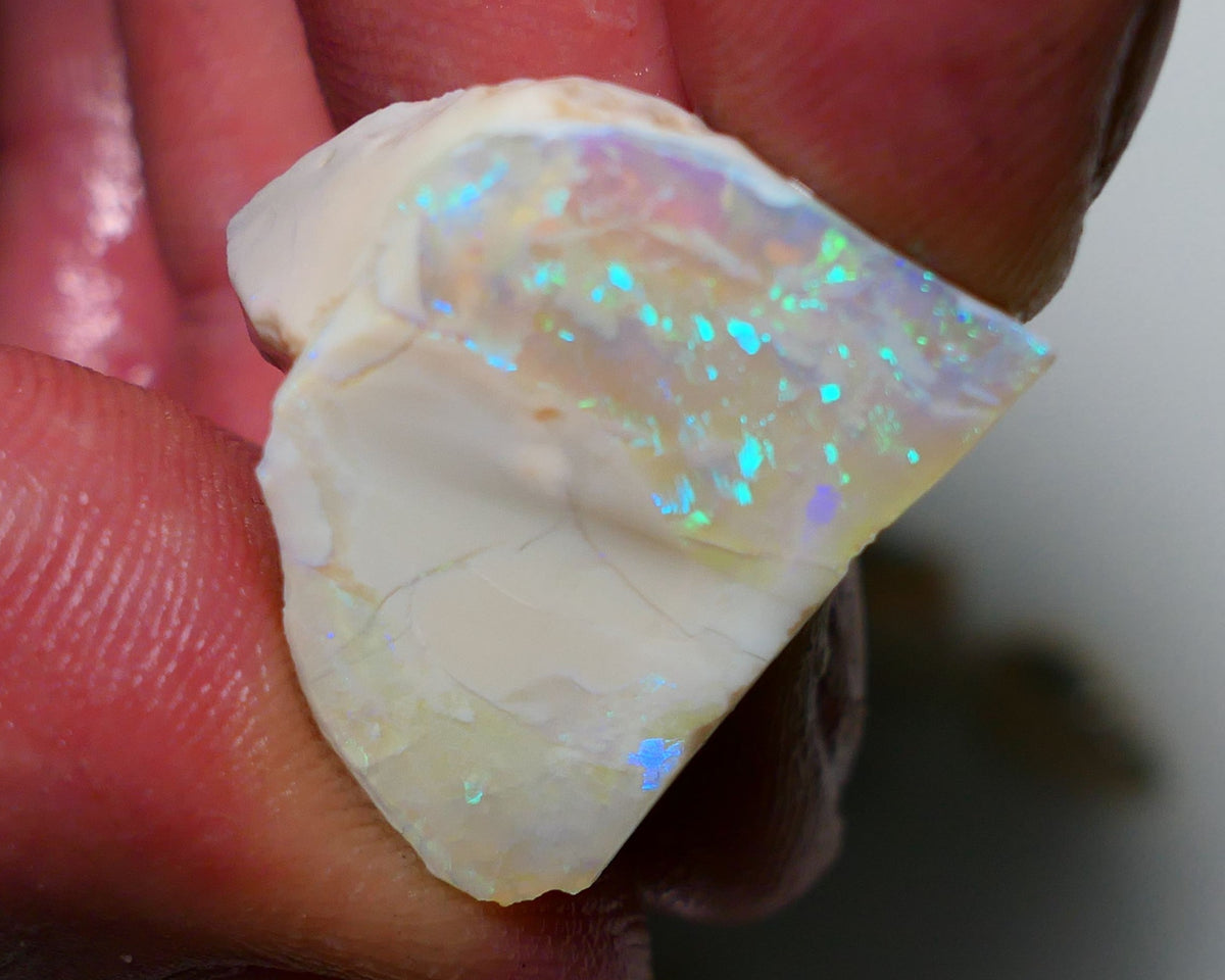 Lightning Ridge Opal Grey Base Big Seam Rough Rub 28cts Stunning Zones of Bright Multi Colours 24x20x10mm 1305