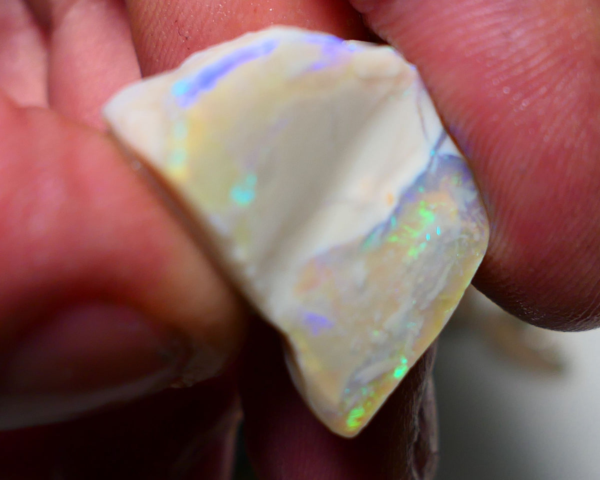 Lightning Ridge Opal Grey Base Big Seam Rough Rub 28cts Stunning Zones of Bright Multi Colours 24x20x10mm 1305