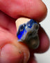 Lightning Ridge Black Knobby Rough Opal 12.00cts Gamble showing Bright blue fires 19x12x10mm 1302