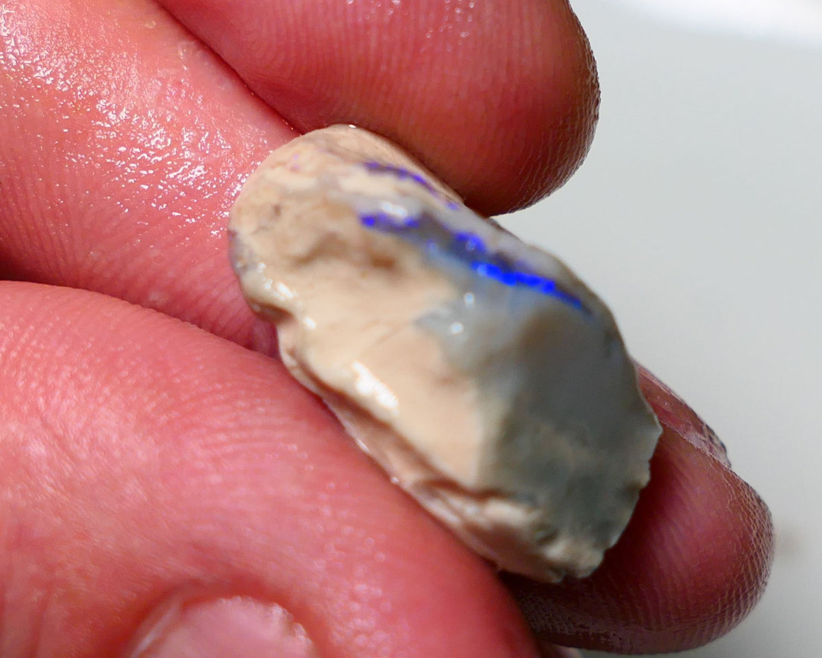 Lightning Ridge Rough Opal 12.75cts Half a knobby showing bright Blues 24x12x10mm 1310