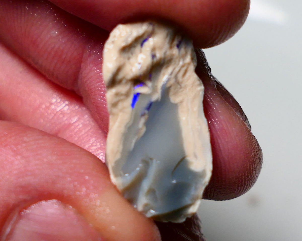 Lightning Ridge Rough Opal 12.75cts Half a knobby showing bright Blues 24x12x10mm 1310