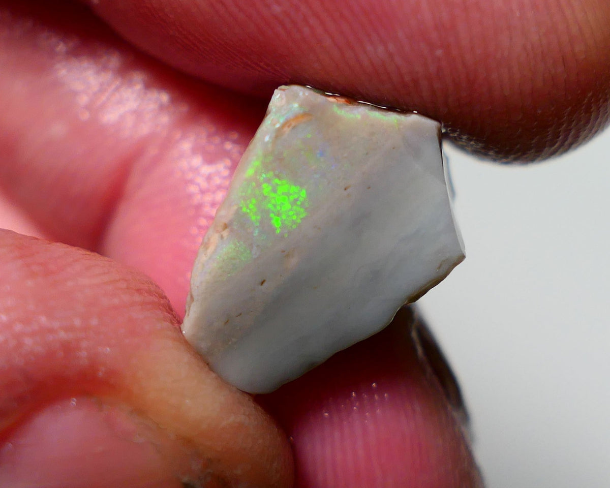 Lightning Ridge Rough Opal 9.70cts Dark Seam showing nice Bright Green Dominant colours 17x10x9mm 1307