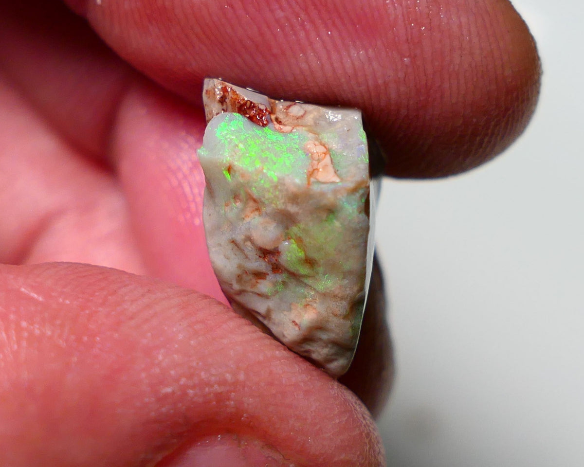 Lightning Ridge Rough Opal 9.70cts Dark Seam showing nice Bright Green Dominant colours 17x10x9mm 1307