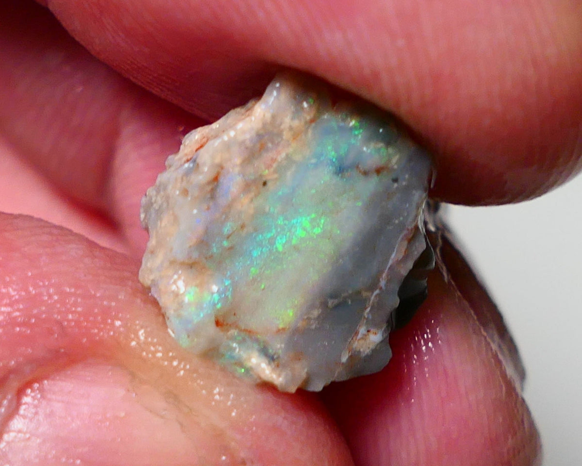 Opal Fever Mate Auction