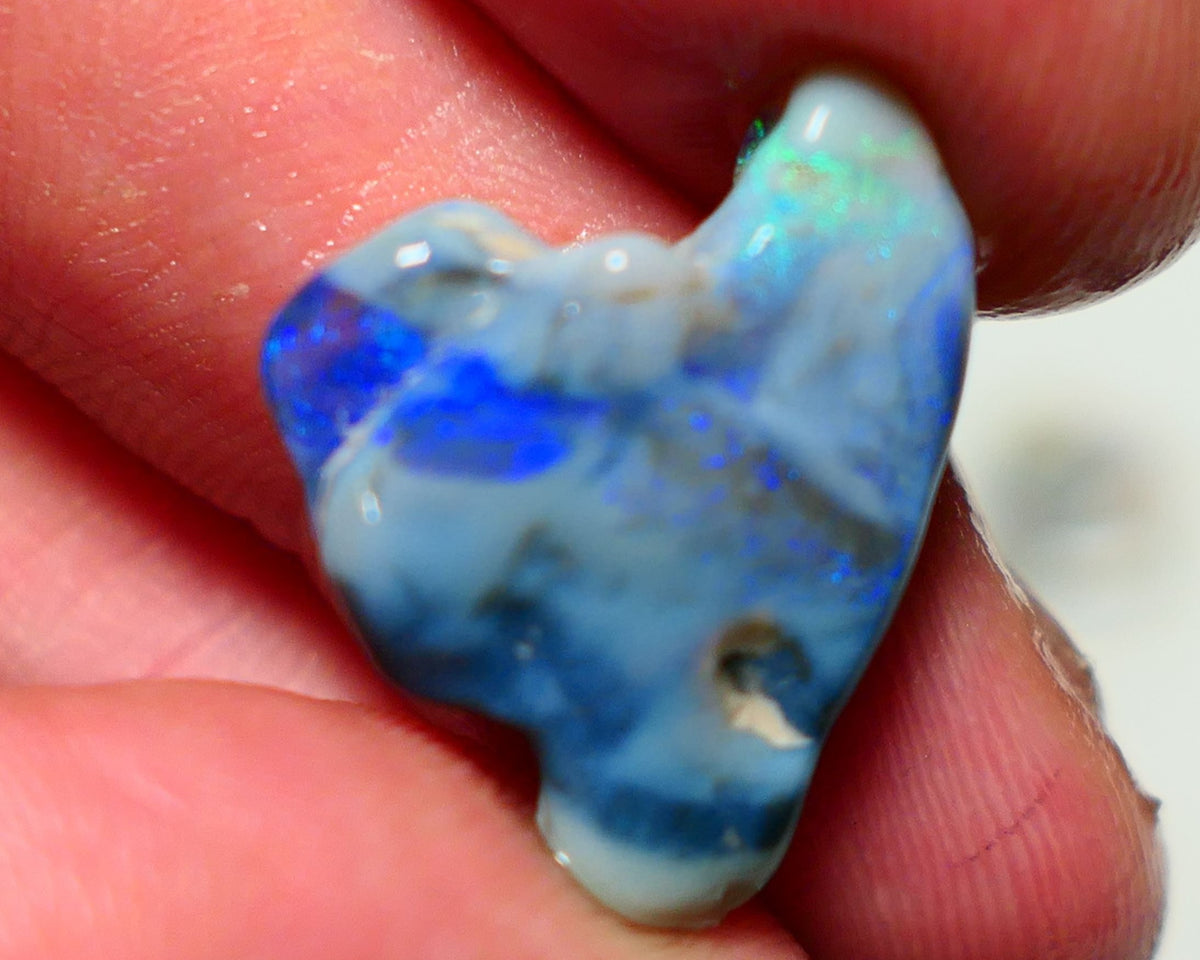 Lightning Ridge Dark Knobby Rough Opal 9.50cts Stunning Bright blue fires 21x16x6mm 1319