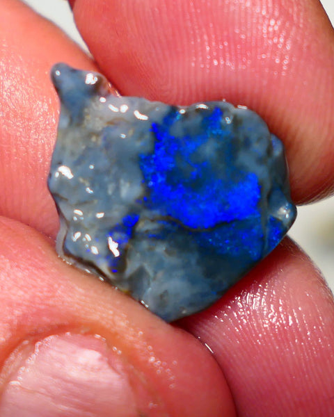 Lightning Ridge Opal Dark base Seam Rough 9.50cts Gorgeous Stunning Very Bright Royal Blue fires 21x19x7mm 1313
