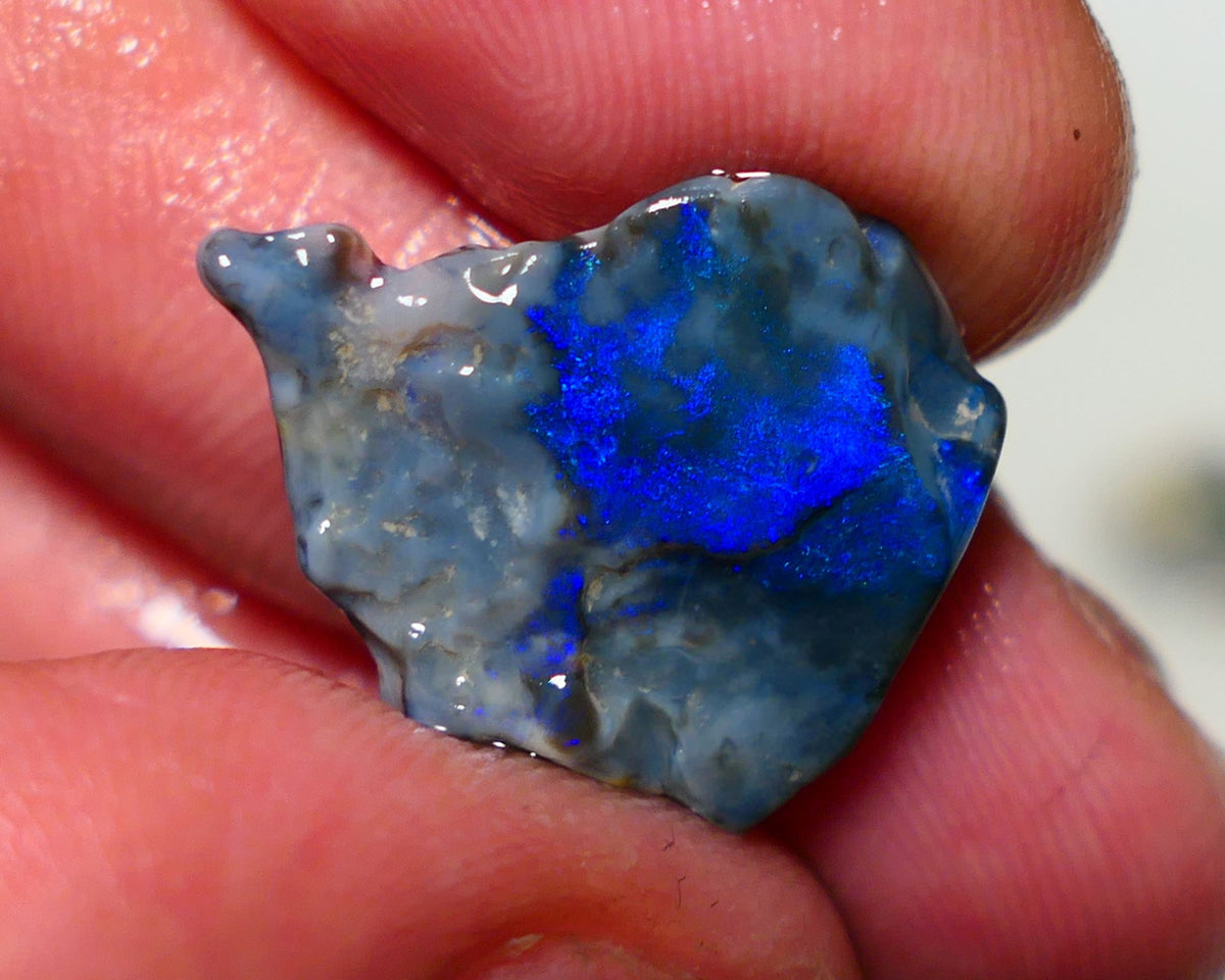 Lightning Ridge Opal Dark base Seam Rough 9.50cts Gorgeous Stunning Very Bright Royal Blue fires 21x19x7mm 1313