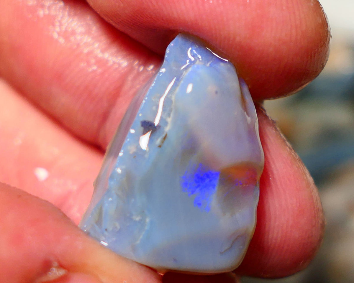 Lightning Ridge Rough Opal 23cts Seam showing some blues 24x16x12mm 1412