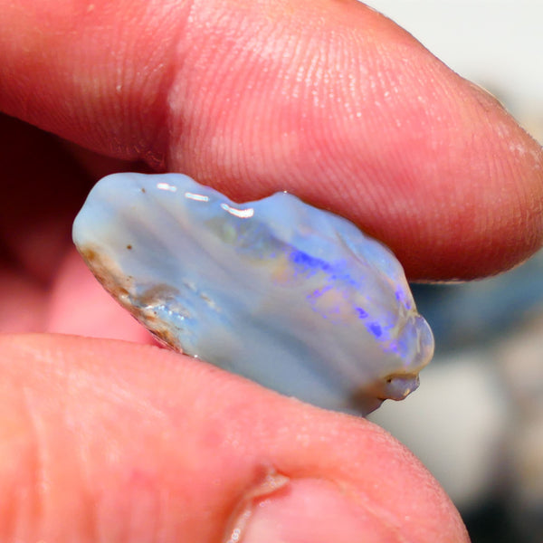 Lightning Ridge Rough Opal 23cts Seam showing some blues 24x16x12mm 1412