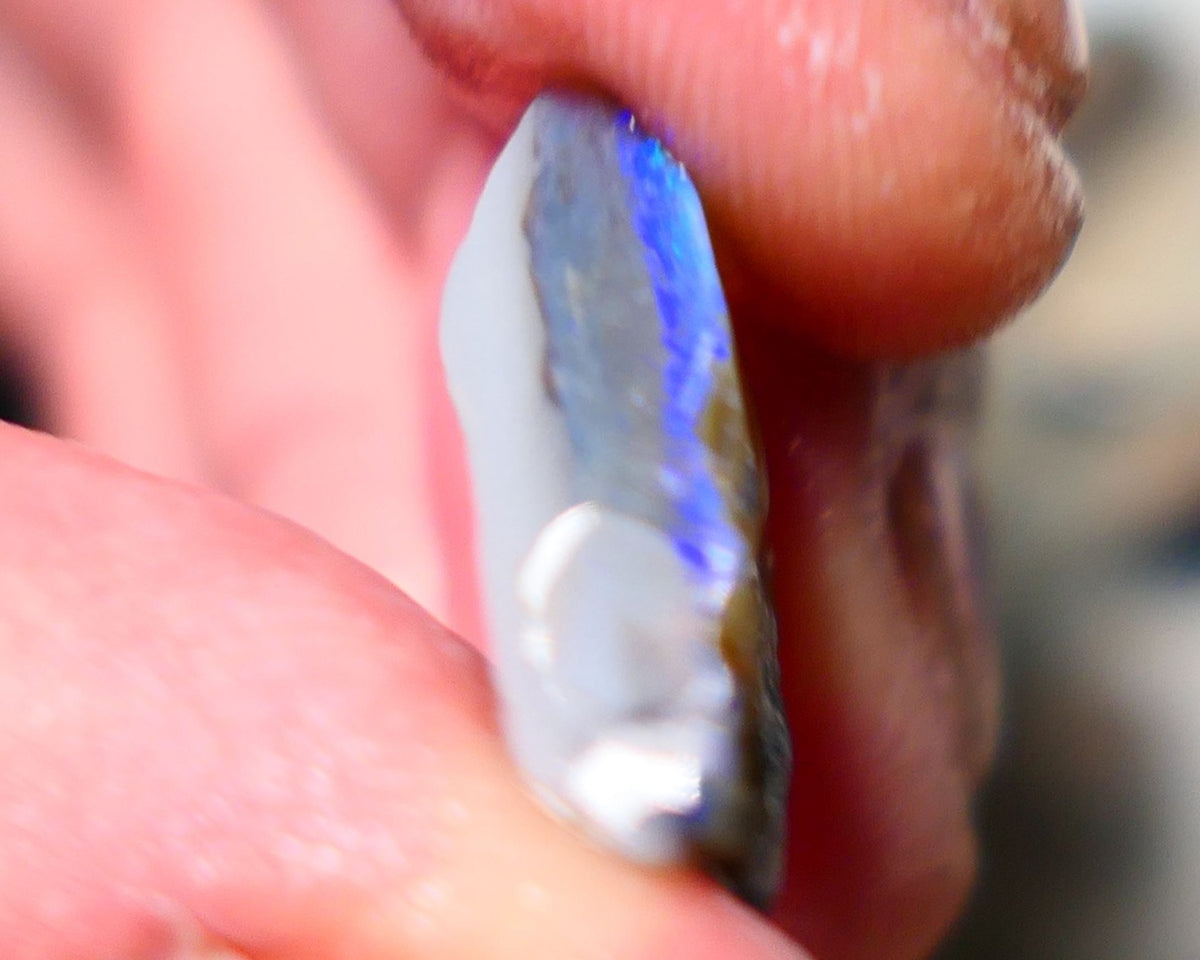 Lightning Ridge Rough Opal 8.75cts Half a dark base knobby opal showing lots blues colours 19x13x6mm 1407