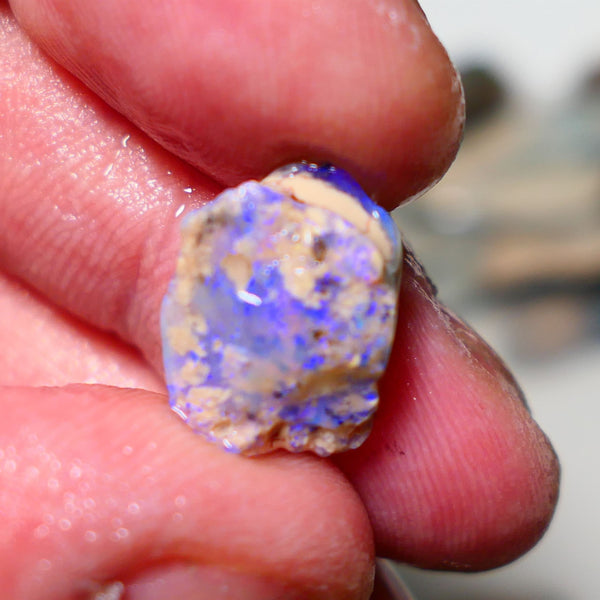 Lightning Ridge Rough Opal 6cts Crystal Seam formation showing lots of blues 15x12x6mm 1405