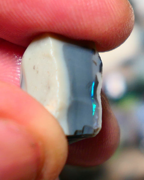 Lightning Ridge Rough Opal 12.25cts Dark Seam Stunning Flat colour bar Bright Vibrant Green/blue/teals 16x12x9mm 1325