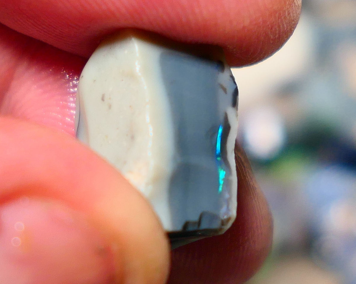 Lightning Ridge Rough Opal 12.25cts Dark Seam Stunning Flat colour bar Bright Vibrant Green/blue/teals 16x12x9mm 1325