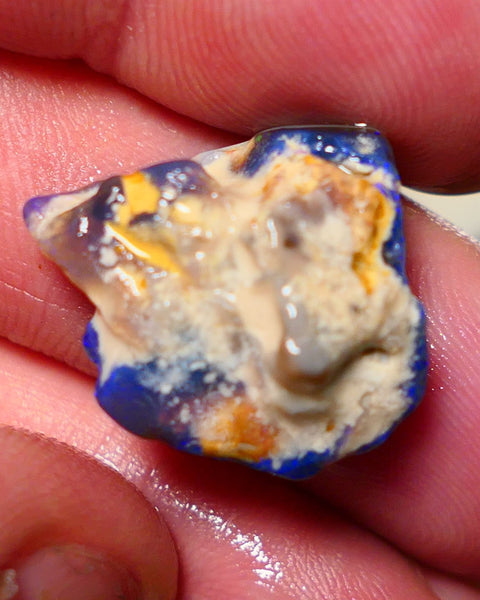 Lightning Ridge Rough Opal 13.50cts Black/Dark Seam formation showing some gorgeous blues 18x18x10mm 1404