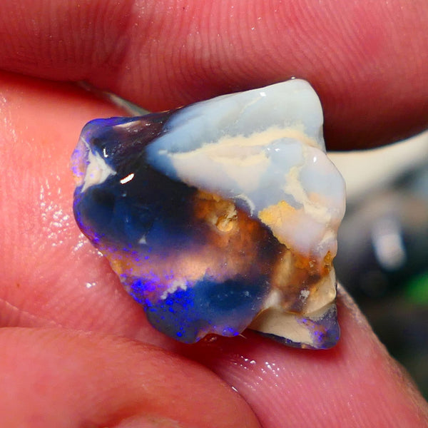 Lightning Ridge Rough Opal 13.50cts Black/Dark Seam formation showing some gorgeous blues 18x18x10mm 1404