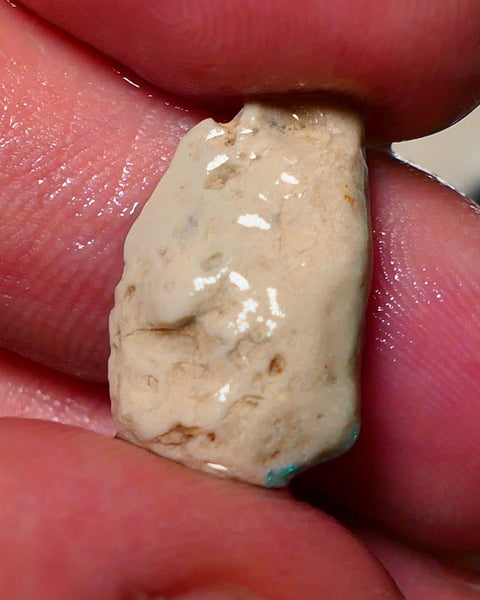 Lightning Ridge Rough Rub Opal 6.00cts Dark knobby showing Bright Yellow dominant Multifires 20x12x5mm 1324