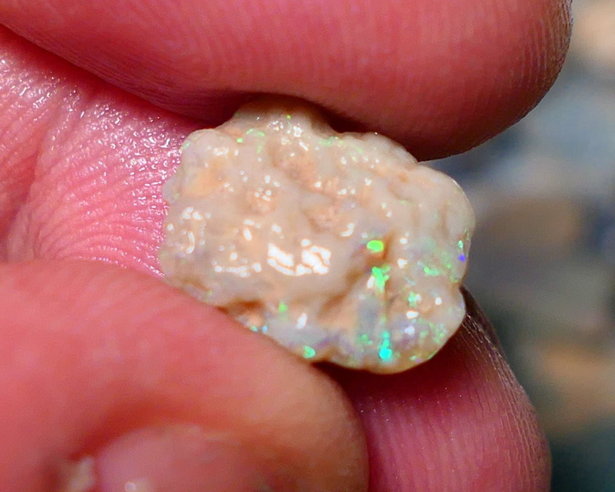 Lightning Ridge Rough Opal 4cts Small knobby formation showing some bright multicolour 14x10x5mm 1411