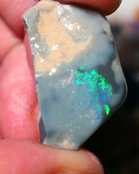 Lightning Ridge Rough Rub Opal 23cts Dark Seam showing Gorgeous zone of bright vibrant fires 31x18x7.5mm 1323