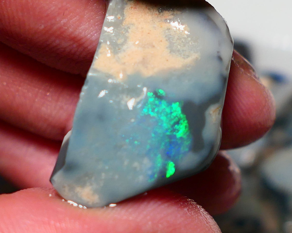 Lightning Ridge Rough Rub Opal 23cts Dark Seam showing Gorgeous zone of bright vibrant fires 31x18x7.5mm 1323