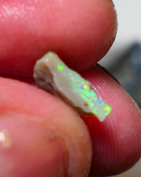 Lightning Ridge Rough Opal 1.75cts Little Seam Gamble Very Bright multicolours 10x8x4mm 1410