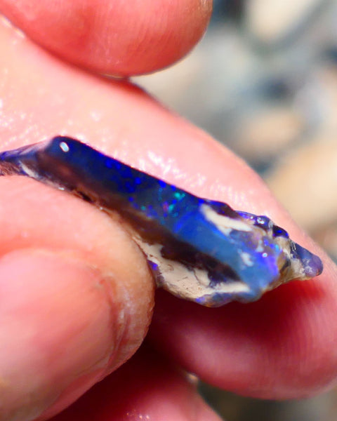 Lightning Ridge Rough Opal 12cts Black Seam formation showing lots nice Blues 20x18x11mm 1344