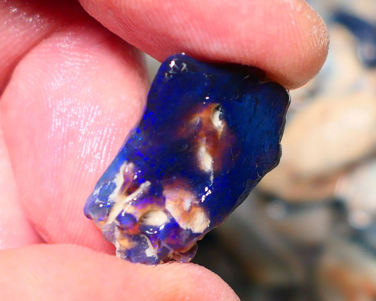 Lightning Ridge Rough Opal 12cts Black Seam formation showing lots nice Blues 20x18x11mm 1344