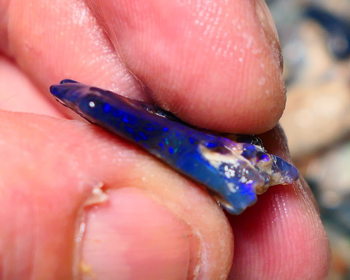 Lightning Ridge Rough Opal 12cts Black Seam formation showing lots nice Blues 20x18x11mm 1344