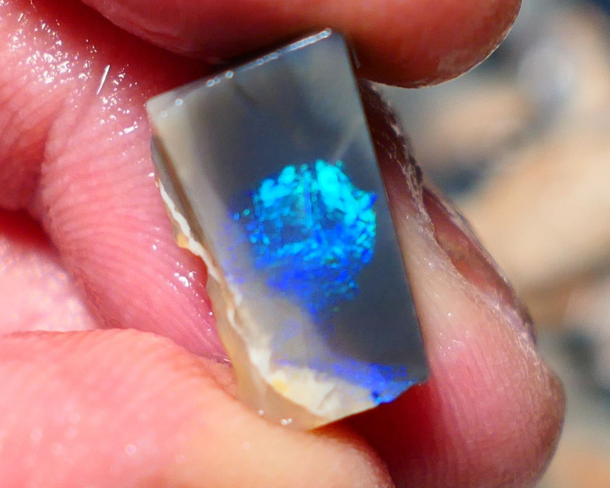 Lightning Ridge Opal Dark Base Seam Rough / Slice / Rub 9.15cts Bright Blue Green & Teal fires gorgeous pattern  15x9x8mm 1342