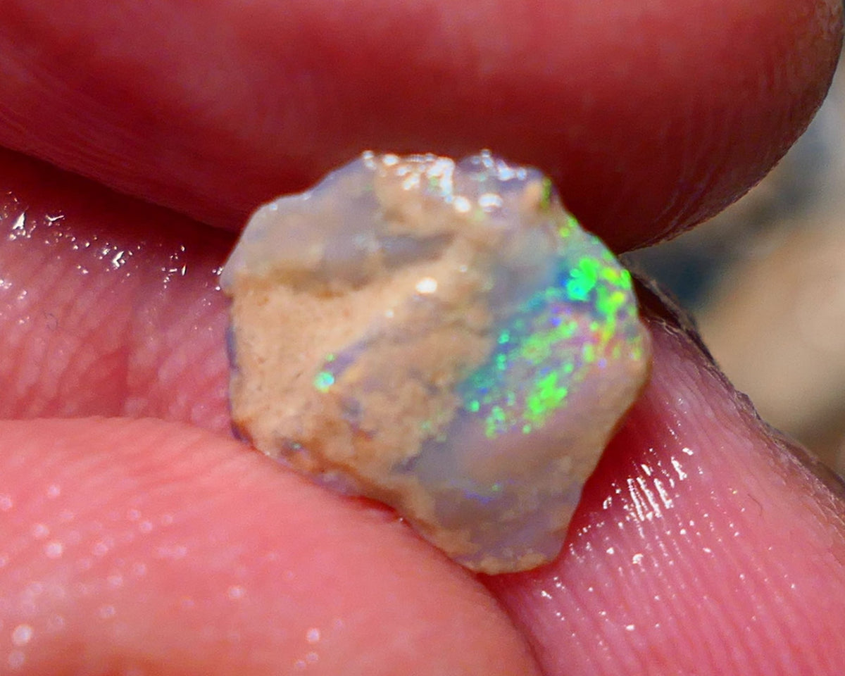 Lightning Ridge Rough Opal 1.45cts Small Crystal knobby formation showing some bright multicolour 11x10x2.5mm 1409