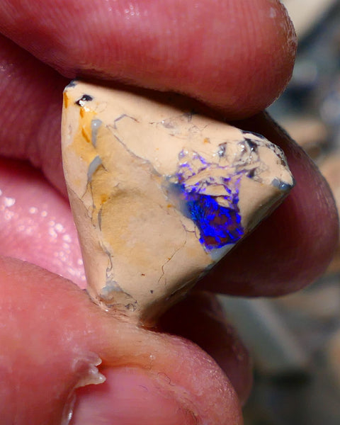 Lightning Ridge Rough Opal 14.75cts Formation showing Very gorgeous Blues on black 19x18x12mm 1337