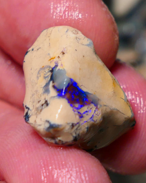 Lightning Ridge Rough Opal 14.75cts Formation showing Very gorgeous Blues on black 19x18x12mm 1337