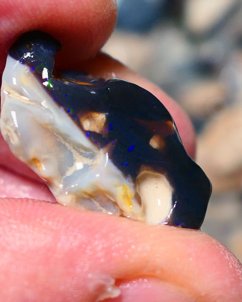 Lightning Ridge Rough Opal 19cts Black base Seam showing Green and blue fires 28x17x11mm 1338