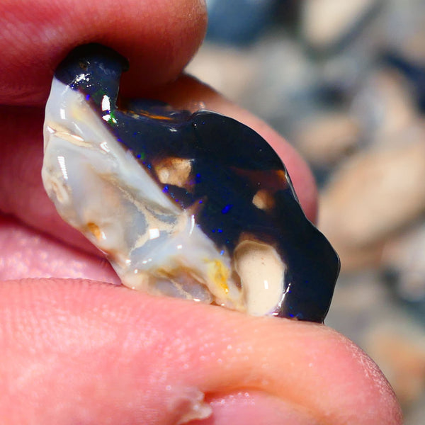 Lightning Ridge Rough Opal 19cts Black base Seam showing Green and blue fires 28x17x11mm 1338