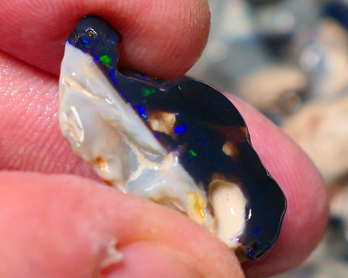 Lightning Ridge Rough Opal 19cts Black base Seam showing Green and blue fires 28x17x11mm 1338