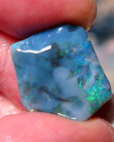 Mulga Rough Opal Gamble 11.35cts Dark Base Seam Green Dominant fires to Cut / carve & polish 18x16x6mm Auction NS140