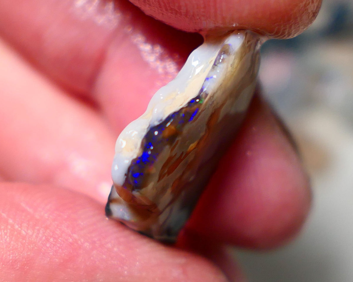 Lightning Ridge Rough Opal 10cts Mixed Bodytone Seam piece showing some bright blues colours 24x16x4mm A1524