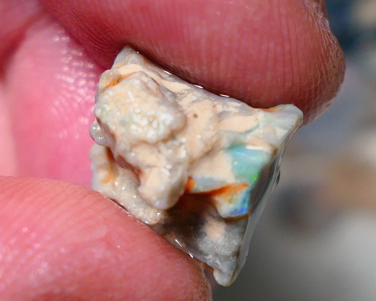 Lightning Ridge Rough Opal 7.75cts Dark Base Gamble Knobby Gorgeous Bright Orange/Gold/Yellow dominant M.Fires 14x12x10mm NS141