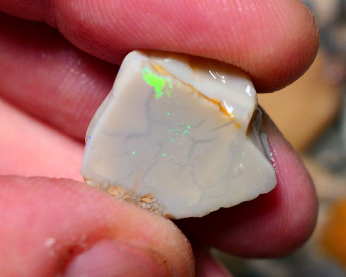 Lightning Ridge Opal Grey/Light base rub 22cts showing some Bright Green fires 20x18x10mm A1503