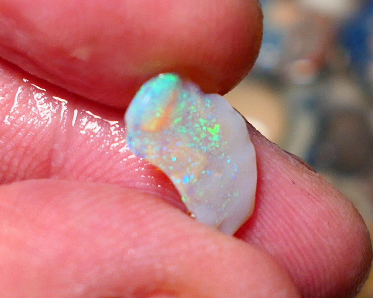 Lightning Ridge Untouched small Seam Opal Rough 1.3cts showing nice multicolours 14x9x2mm A1504