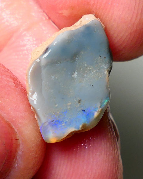 Lightning Ridge Rough Opal 7.70cts Untouched Dark Base Seam showing some some blues colours 18x12x9mm A1533