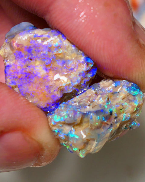 Lightning Ridge 26cts Very Bright pair of gorgeous Dark base Crystal Opalised fossil rough to cut/carve Vibrant Blue/purple/green 18x18x11mm & 2x12x9mm A1529