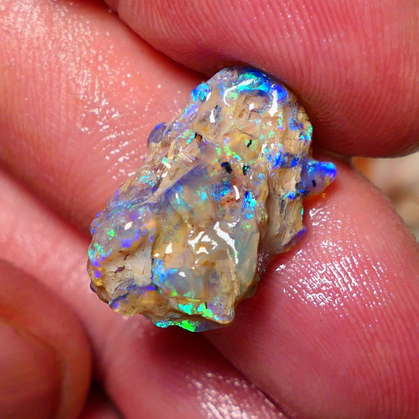 Lightning Ridge 26cts Very Bright pair of gorgeous Dark base Crystal Opalised fossil rough to cut/carve Vibrant Blue/purple/green 18x18x11mm & 2x12x9mm A1529